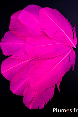 Pétales en plumes - 9-11 x 6 cm - fuchsia